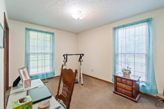 4518 Elkins Dr, Centerville, TN 37033 - photo 19