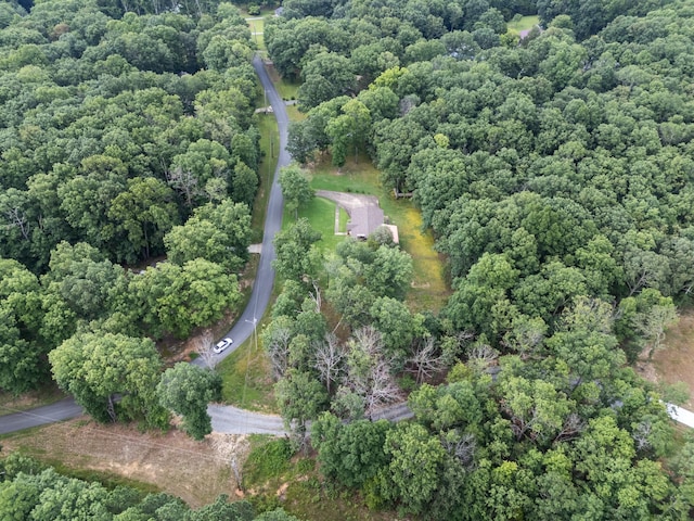 4518 Elkins Dr, Centerville, TN 37033 - photo 36