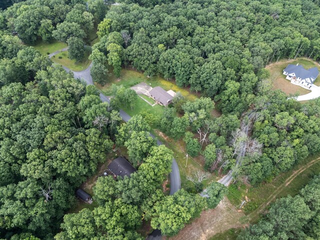 4518 Elkins Dr, Centerville, TN 37033 - photo 37
