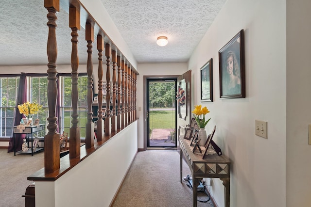 4518 Elkins Dr, Centerville, TN 37033 - photo 7