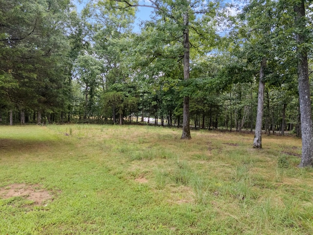 4518 Elkins Dr, Centerville, TN 37033 - photo 45