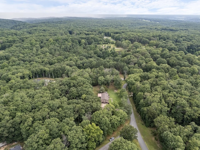 4518 Elkins Dr, Centerville, TN 37033 - photo 32
