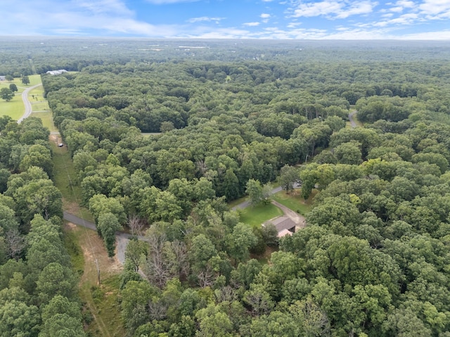 4518 Elkins Dr, Centerville, TN 37033 - photo 35