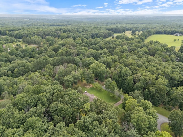 4518 Elkins Dr, Centerville, TN 37033 - photo 33