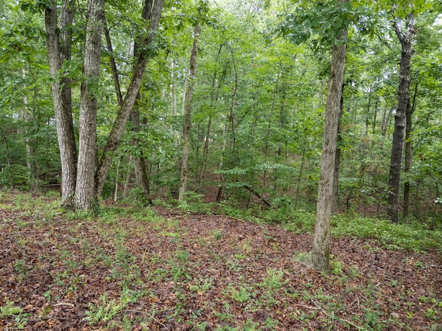 4518 Elkins Dr, Centerville, TN 37033 - photo 40
