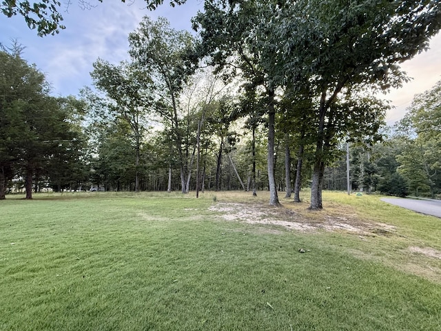 4518 Elkins Dr, Centerville, TN 37033 - photo 50