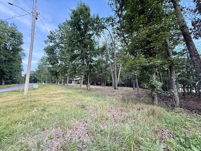 4518 Elkins Dr, Centerville, TN 37033 - photo 49