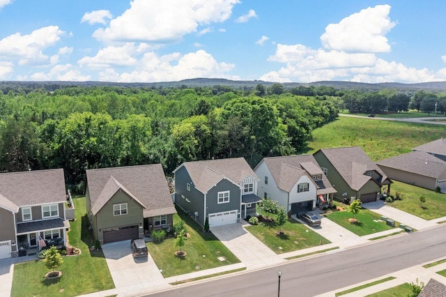 3620 Stormy Ln, Rockvale, TN 37153 - photo 6