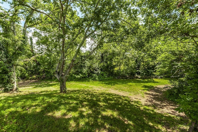 792 Greenfield Ln, Castalian Springs, TN 37031 - photo 44