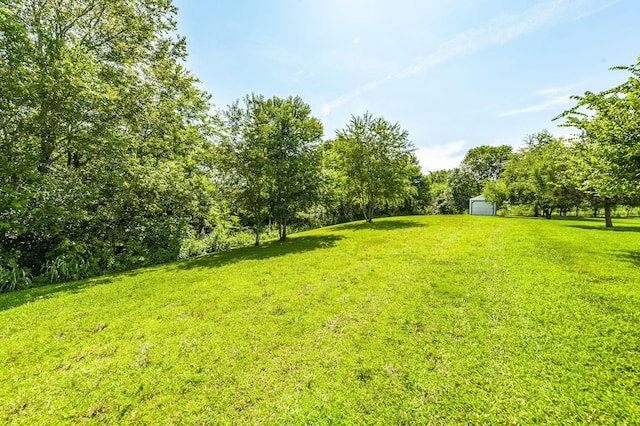 792 Greenfield Ln, Castalian Springs, TN 37031 - photo 42