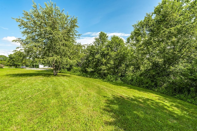 792 Greenfield Ln, Castalian Springs, TN 37031 - photo 40