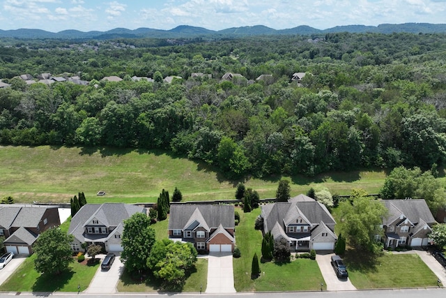2029 Delaware Dr, Nolensville, TN 37135 - photo 5