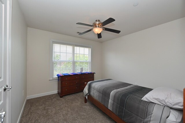 2029 Delaware Dr, Nolensville, TN 37135 - photo 29