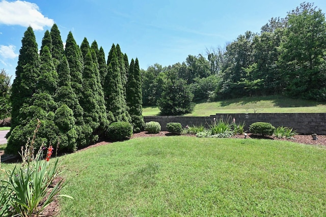 2029 Delaware Dr, Nolensville, TN 37135 - photo 37