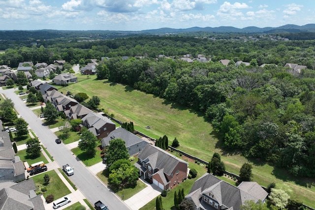 2029 Delaware Dr, Nolensville, TN 37135 - photo 6