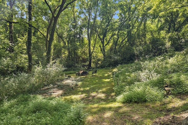 813 Lonnie St, Columbia, TN 38401 - view of wooded area