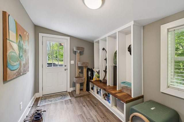 813 Lonnie St, Columbia, TN 38401 - mudroom featuring lofted ceiling and light wood finished floors