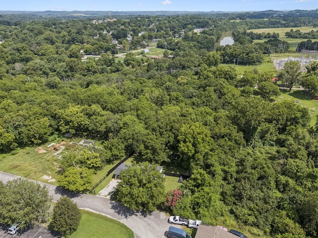 813 Lonnie St, Columbia, TN 38401 - aerial view of a forest
