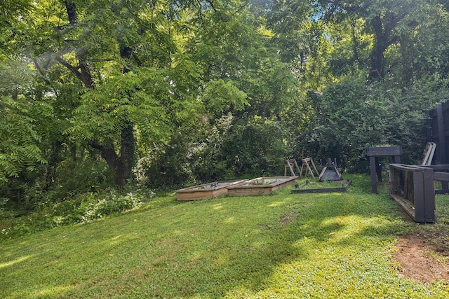 813 Lonnie St, Columbia, TN 38401 - view of grassy yard featuring a vegetable garden and a forest view