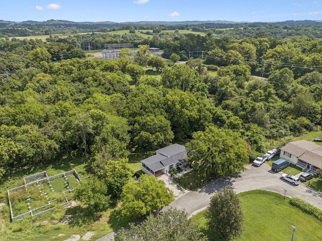 813 Lonnie St, Columbia, TN 38401 - bird's eye view of a forest