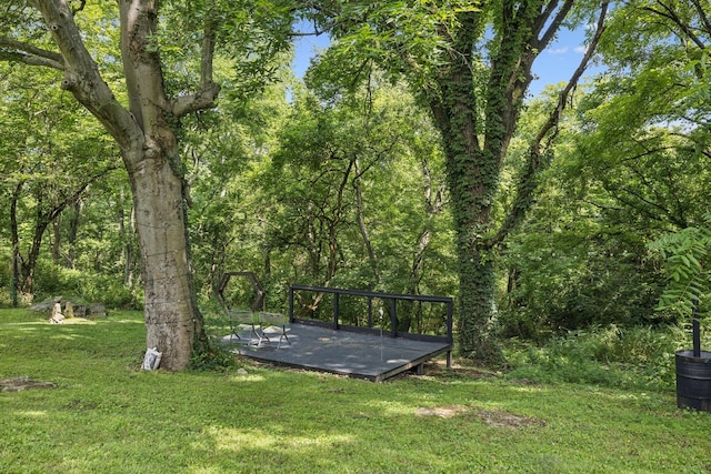 813 Lonnie St, Columbia, TN 38401 - view of grassy yard