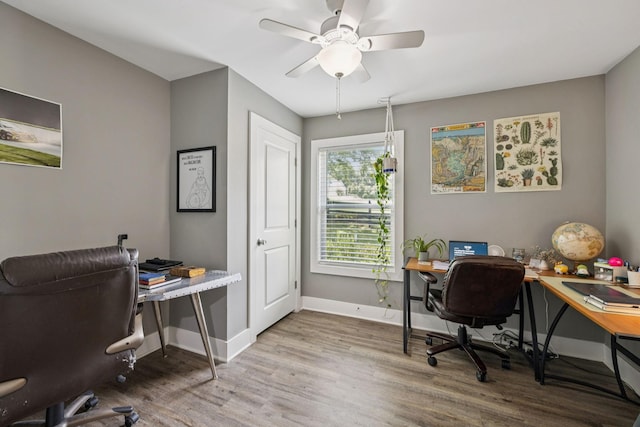 813 Lonnie St, Columbia, TN 38401 - office area with light wood-type flooring and a ceiling fan