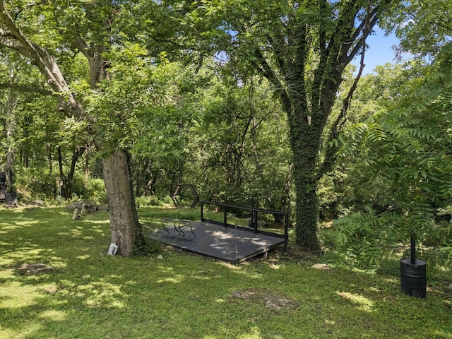 813 Lonnie St, Columbia, TN 38401 - view of grassy yard