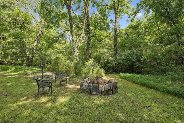 813 Lonnie St, Columbia, TN 38401 - view of green lawn with a fire pit and a forest view