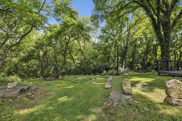 813 Lonnie St, Columbia, TN 38401 - view of grassy yard