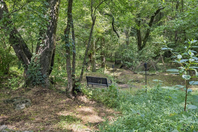 813 Lonnie St, Columbia, TN 38401 - view of wooded area