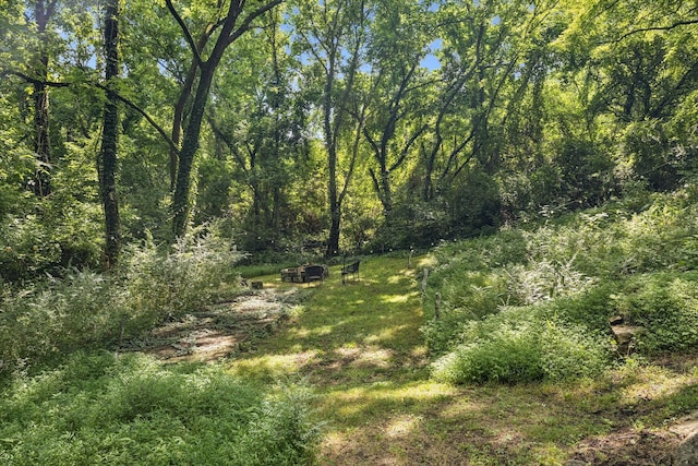 813 Lonnie St, Columbia, TN 38401 - view of tree filled area
