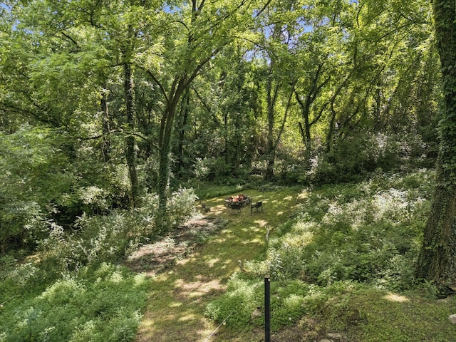 813 Lonnie St, Columbia, TN 38401 - view of wooded area