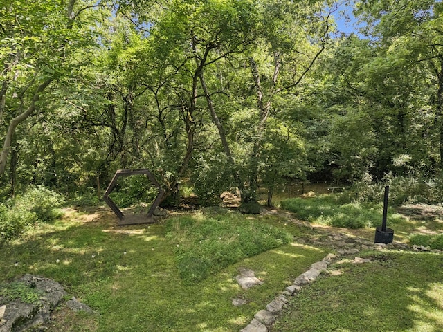 813 Lonnie St, Columbia, TN 38401 - view of green lawn with a wooded view