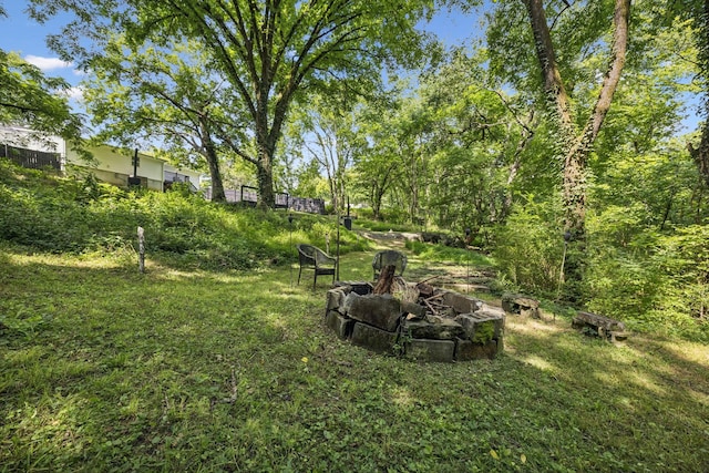 813 Lonnie St, Columbia, TN 38401 - view of yard with an outdoor fire pit