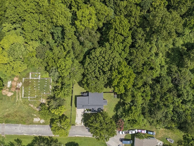 813 Lonnie St, Columbia, TN 38401 - aerial overview of property's location with a heavily wooded area