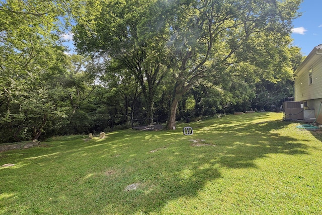 813 Lonnie St, Columbia, TN 38401 - view of green lawn