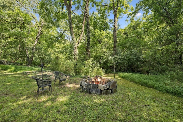 813 Lonnie St, Columbia, TN 38401 - view of green lawn with an outdoor fire pit and a wooded view