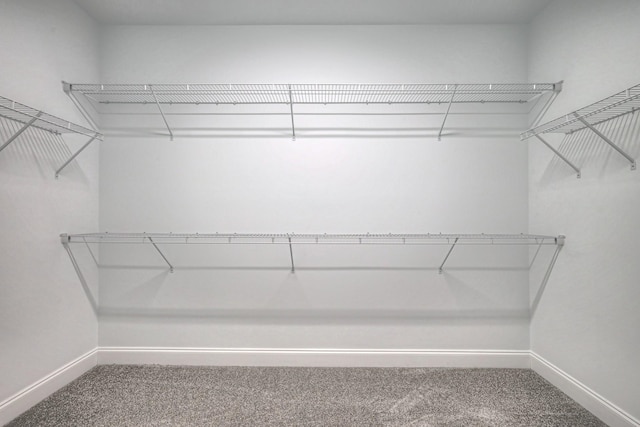 213 Vintage Way, Lebanon, TN 37087 - spacious closet with carpet