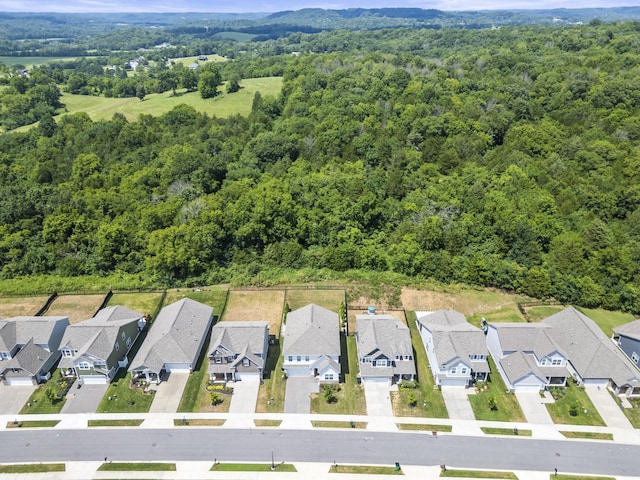 294 Gulfstream Dr, Gallatin, TN 37066 - photo 38