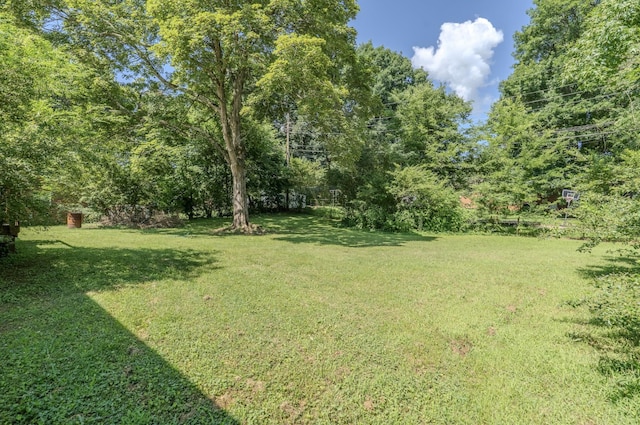 221 Downer Dr, Clarksville, TN 37042 - photo 25