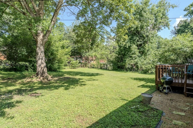 221 Downer Dr, Clarksville, TN 37042 - photo 24