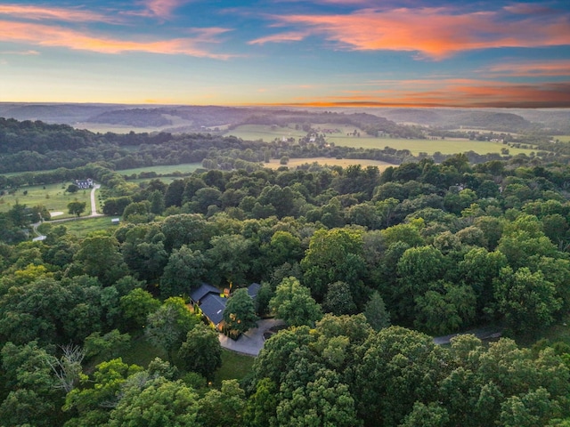 3360 Sweeney Hollow Rd, Franklin, TN 37064 - aerial view at dusk of a forest view