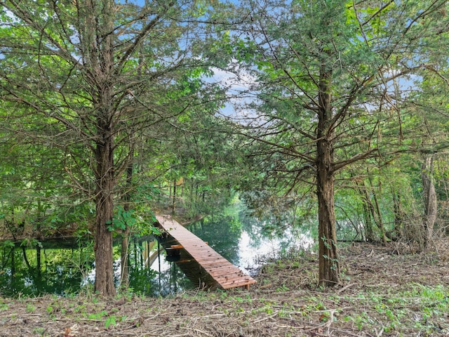 3360 Sweeney Hollow Rd, Franklin, TN 37064 - view of dock