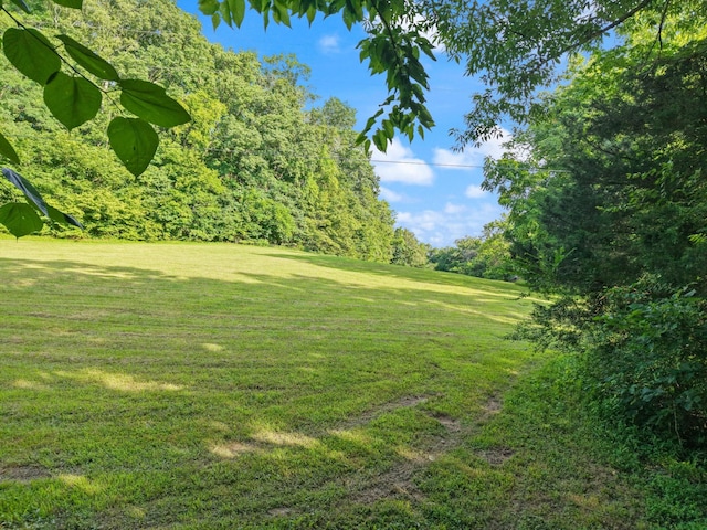 3360 Sweeney Hollow Rd, Franklin, TN 37064 - view of grassy yard