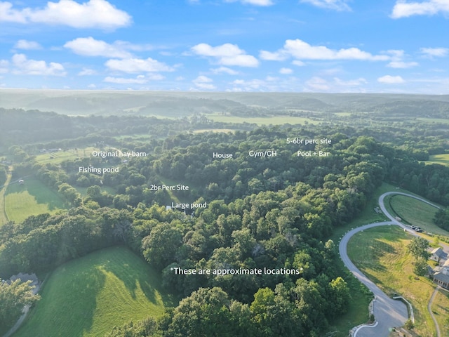 3360 Sweeney Hollow Rd, Franklin, TN 37064 - aerial overview of property's location with a forest