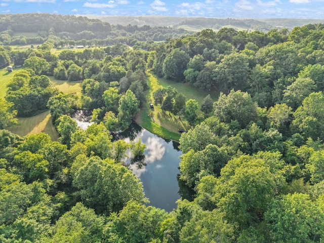 3360 Sweeney Hollow Rd, Franklin, TN 37064 - aerial view of a nearby body of water and a heavily wooded area