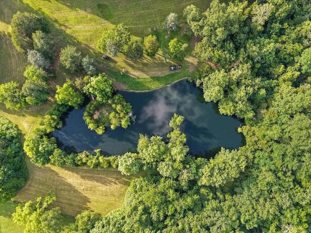 3360 Sweeney Hollow Rd, Franklin, TN 37064 - aerial view of property and surrounding area with a large body of water