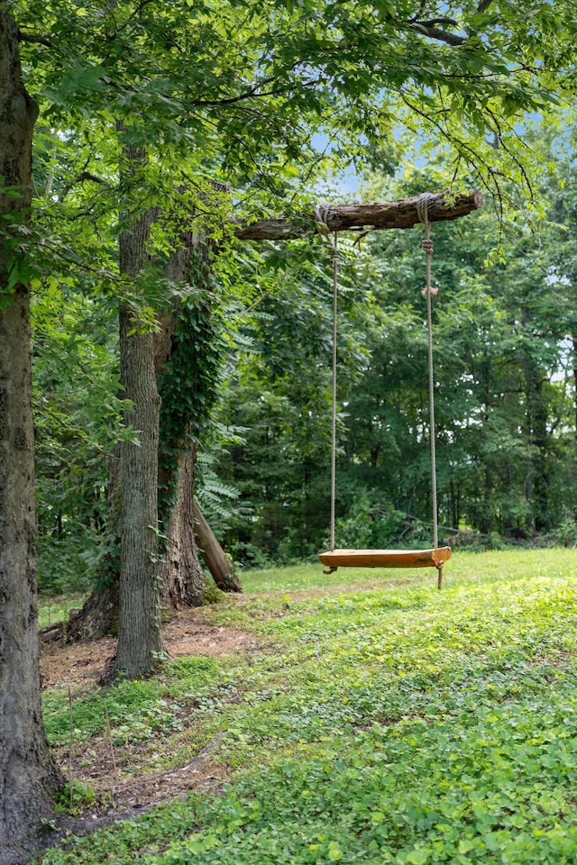 3360 Sweeney Hollow Rd, Franklin, TN 37064 - view of yard featuring a wooded view