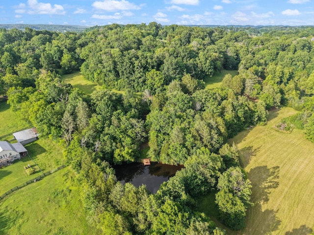 3360 Sweeney Hollow Rd, Franklin, TN 37064 - aerial view of property and surrounding area with a forest