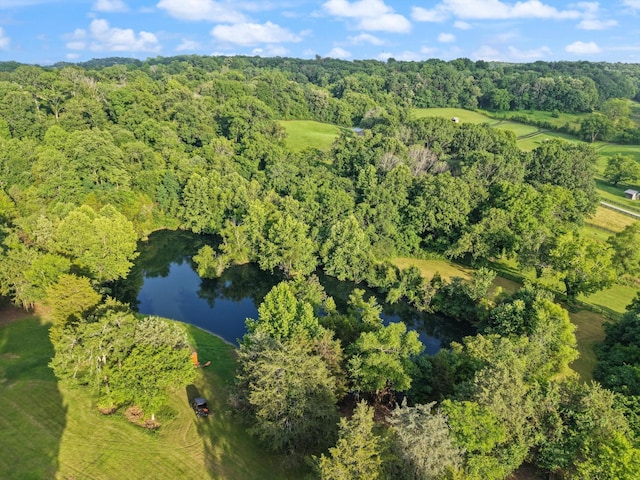 3360 Sweeney Hollow Rd, Franklin, TN 37064 - aerial overview of property's location with a heavily wooded area and a nearby body of water
